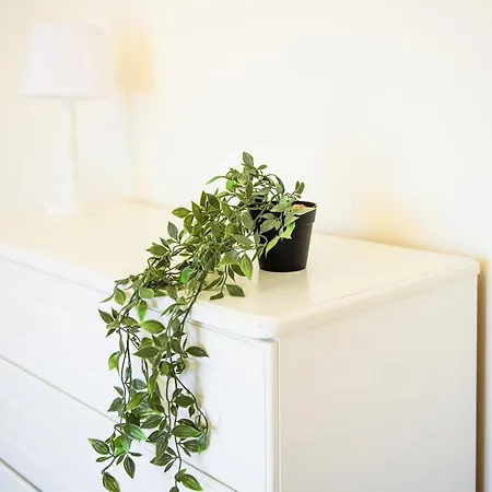 Elegant 1-Bedroom Apartment With Small Breakfast & Free Parking